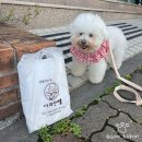 세븐일레븐제주이도남광로점 | [제주시 이도이동] 제주도 찐빵맛집 &#39;아라찐빵&#39; 오픈런 현장구매 후기