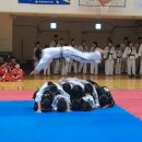 신내 KCL 합기도 이미지