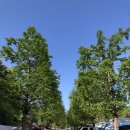 강화도산들애농원 캠핑장 이미지