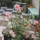 지리산밀드플레 이미지