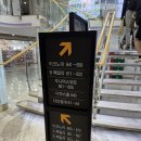 터미널게임장 | 제주 목포 배 퀸제누비아호 이코노미 vs 다인침대실 후기