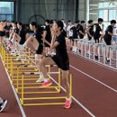 스포츠파크 씨름장 이미지