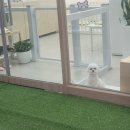 슈멍드아 이미지