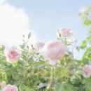 뷰티엠의원 이미지