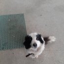 장곡농협 주유소 이미지