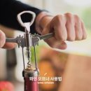 와인 와인병 따는법 코르크마개 와인 따는 방법 이미지