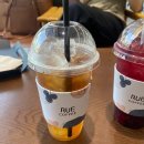 백미브로우 이미지