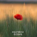 노년에 느끼는 그리움을 담은 시 ; 방년 79세 / 안재식 시인 이미지