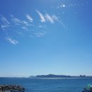 파파스시 - 3836 | 파파스시
