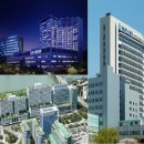 세브란스 동물병원 이미지