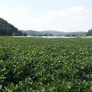 아산시-2006-010 이미지