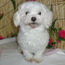 건우동물병원 이미지