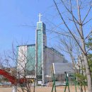 ‘빠른 전도’에서 ‘천천히 전도’로 - 대전 목양교회 최은숙 집사 이미지