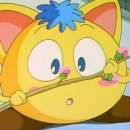 피크닉짐 이미지