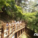 평창군 남산 무장애나눔길 조성 뉴스1
