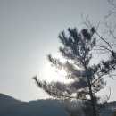 정담정육식당 이미지