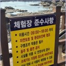 삼척 장호항 스노쿨링 하다가 물고기 떼 만난 후기, 왜 오전 방문이 정답일까?