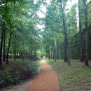 강서둘레길(궁산코스) 이미지