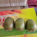 과즙팡팡 못난이 황금향 (고당도).새콤달콤 노지감귤.구좌당근.콜라비.비트.적채.브로콜리.레드키위 이미지