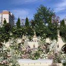 더그라스 이미지