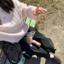 금와사 | 今年の最後の月