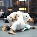 카르페디엠주짓수 - 화성시 동탄지성로 125 | 카르페디엠 BBJ 대회 후기 [부경대 주짓수 / 경성대 주짓수 / 부산 주짓수]