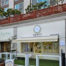 멍멍부띠끄 이미지