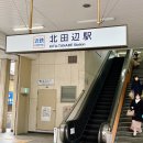 [일본여행/SGE] 걸러 내지 못한 기억의 순간들🪼(나라 사슴공원, 해유관)