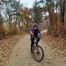 사리현로 이미지