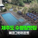 [제주숙소] 제주 에코그린리조트 후기 수영장 때문에 제주 갈 때마다 가는 숙소