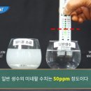 맥섬석웰리온