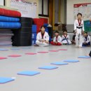 명지 키즈 태권도 이미지