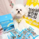(주)조이플래닛 네이버블로그