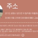 와이엠바이올린교습소