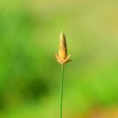 하늘지기 이미지