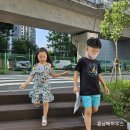 교대역 6번 출구 한양프라자 앞 교통섬 | 부산 KPC 자격증 서부센터 동래 한양타워빌 주차 꿀팁