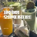 제이사려니숲길 | 제주도 가족여행 오셜록 티뮤지엄 방문후기 추천