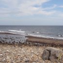 내도동 방사탑 이미지