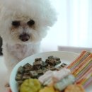 개로만족 이미지