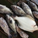 달빛좌대 이미지