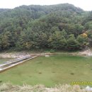 가곡여울민박 이미지