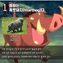 품바 이미지
