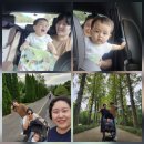 전라북도 산림박물관 | 목 (367일차) 나주당일치기 &#34; 나주곰탕노안집 - 행운분식 - 배박물관 - 빛가람전망대 - 산림연구소 &#34;
