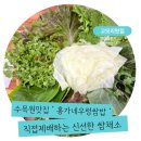홍가네우렁쌈밥 | 광릉 수목원 맛집 🌳 “홍가네우렁쌈밥” / 찐 단골 후기 &amp; 메뉴 &amp; 주차정보