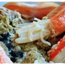 속초동명항맛집 솔직히 맛 없으면 후기 안 씀 근데 여긴 다름