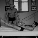 라이프 발란서 이미지