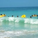 초등영어(저) 이미지