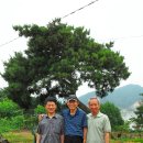 가마재 소우리 이미지