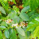 희정농장 이미지