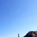 군산바다 이미지